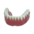 Macro Modelo Mandíbula Overdenture Acrílica com 2 ORings e Prótese Inferior - Macro Modelos Odontológicos