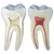 Conjunto Macro Dentões - comprar online