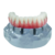 modelo de protocolo dentario