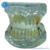 modelo de dentição mista