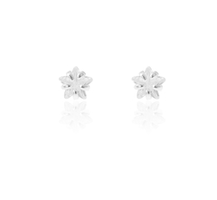 Broqueles Zirconia Forma De Estrella 4mm. Plata Ley .925