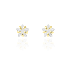 Broqueles Zirconia Forma De Estrella 4mm. Oro 10k