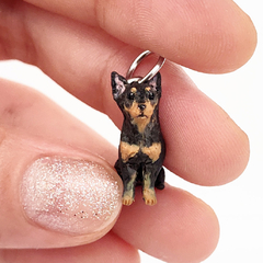 Miniatura de Pinscher