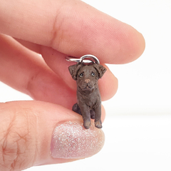 Miniatura de Labrador Marrom na internet