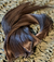 Imagem do Mega Hair Tic-Tac 70 cm Castanho Escuro Liso
