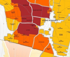 Vosne-Romaneé 1er Cru "Les Chaumes" 2018 - comprar online