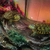 KIT 2 Tartarugas Tigre d'água com Aquaterrário, Aquecedor com Termostato e Filtro + Ração , Microchip, Documentos, GTA & Frete