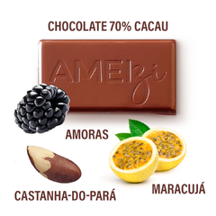 Chocolate 70% Cacau com Amora, Maracujá e Castanha-do-Pará - VEGANO, ZERO LACTOSE, SEM GLÚTEN - Adeus agitação. OLÁ LEVEZA - comprar online