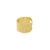 Brinco Piercing Fake Detalhe Banhado a Ouro 18k
