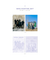 [RARO] 2021 Winter Package - BTS - comprar online