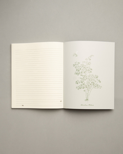 Cuaderno 20 x 25 cm + Libreta con elástico Bosque - Ediciones de la Montaña