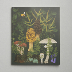 Cuaderno 20 x 25 cm + Libreta con elástico Bosque en internet