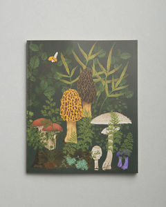 SET 4 CUADERNOS 20 x 25 cm - BOTÁNICA PATAGÓNICA (Frutos, Fungi, Bosque & Pradera)