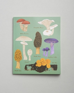 SET REGALO FUNGi - Cuaderno 20 x 25 cm. FUNGI, Pin Bosque, Anotador Fungi, Libreta con elástico Fungi - tienda online