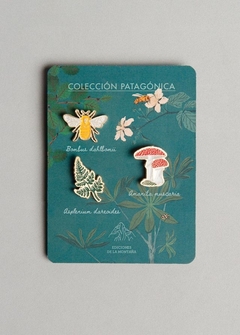 SET REGALO FUNGi - Cuaderno 20 x 25 cm. FUNGI, Pin Bosque, Anotador Fungi, Libreta con elástico Fungi - comprar online