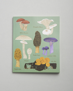 SET 4 CUADERNOS 20 x 25 cm - BOTÁNICA PATAGÓNICA (Frutos, Fungi, Bosque & Pradera) - tienda online