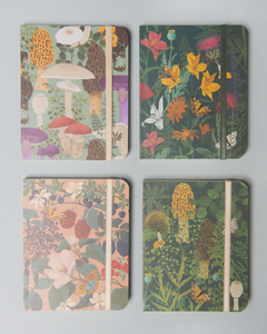 4 cuadernos 20 x 25 cm + 4 libretas con elástico - COLECCION BOTANICA en internet