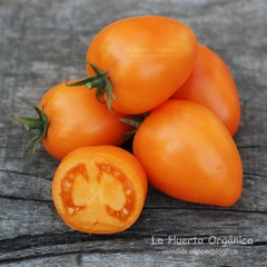 Tomate Orange Banana - comprar online