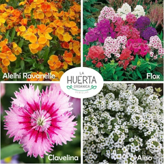 Combo FLORES HUERTA y JARDÍN x20 - comprar online