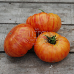 Tomate Beauty King - LA HUERTA ORGÁNICA SEMILLAS