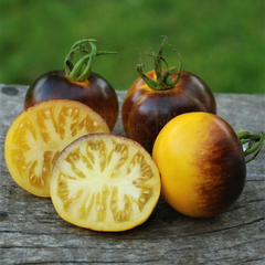 Tomate Stripes of Yore