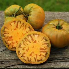 Tomate Uluru Ochre