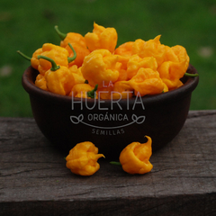 Imagen de Carolina Reaper Amarillo