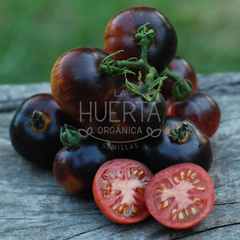 Tomate La Cadero - LA HUERTA ORGÁNICA SEMILLAS