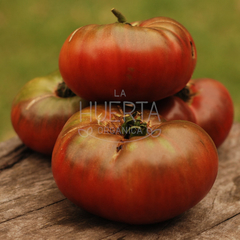 Tomate Cherokee Purple - tienda online