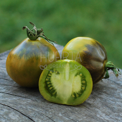 Tomate Flanders Contrast - comprar online