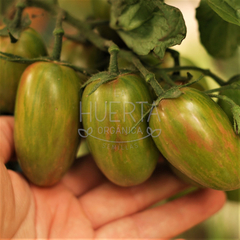 Tomate Lucky Tiger - comprar online