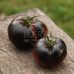 Tomate Black Beauty en internet