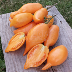 Tomate Burantino Yellow - comprar online