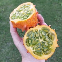 Kiwano o Melón Africano