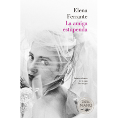 La amiga estupenda | Elena Ferrante