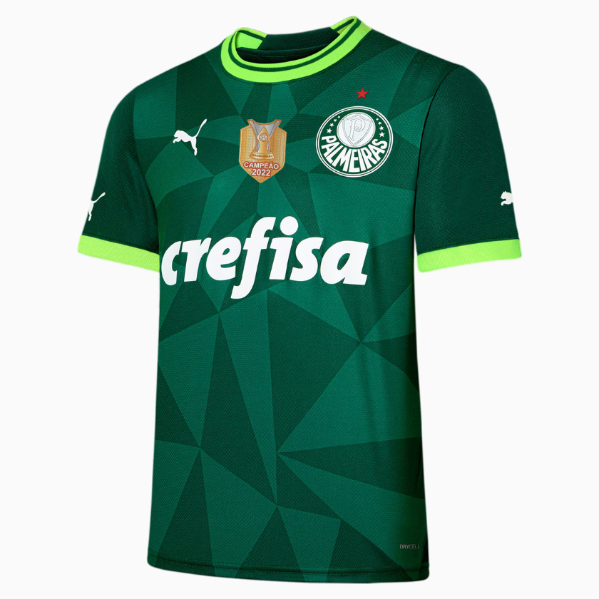 Camisa masculina hotsell do palmeiras