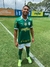 Camisa Palmeiras 2024/25 - Torcedor Masculina - Verde na internet