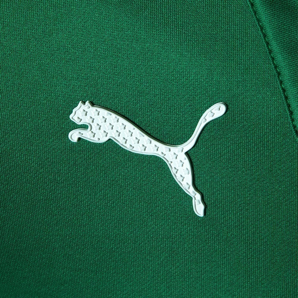 Camisa Palmeiras 2023/24 I Verde Puma