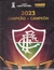 Pôster Fluminense - Campeonato Libertadores 2023 + 36 Figurinha