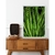 quadro plantas