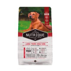Nutrique large young adulto Perro