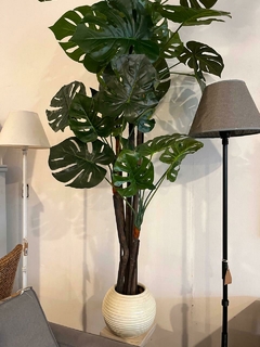 Planta artificial Mostera 170cm - comprar online