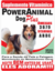 Suplemento Vitamínico PowerAnimal Dog Plus Médio Porte 240 ml - comprar online