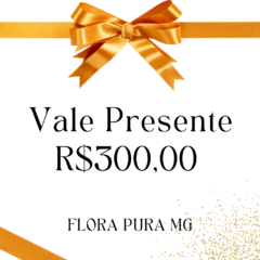 Vale Presente R$300,00