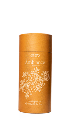 Perfume Ambiance - 100ml - comprar online
