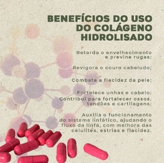 Colágeno Hidrolisado Suplemento Vitamínico - comprar online