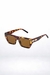 CC5136 GLASSES SINALOA FEMININO LEOPARD - comprar online