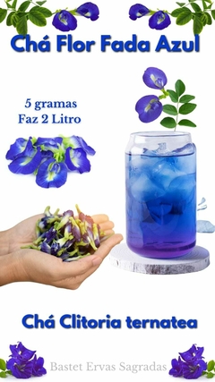 Chá Fada Azul Flores Desidratadas de Clitoria Ternatea