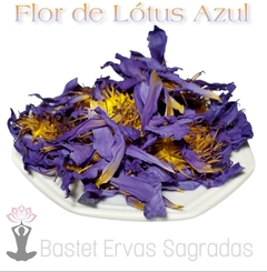 Flor de Lótus azul Nymphaea caerulea Desitrada 20 gramas