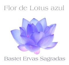 Flor de Lótus azul Nymphaea caerulea Desitrada 20 gramas na internet